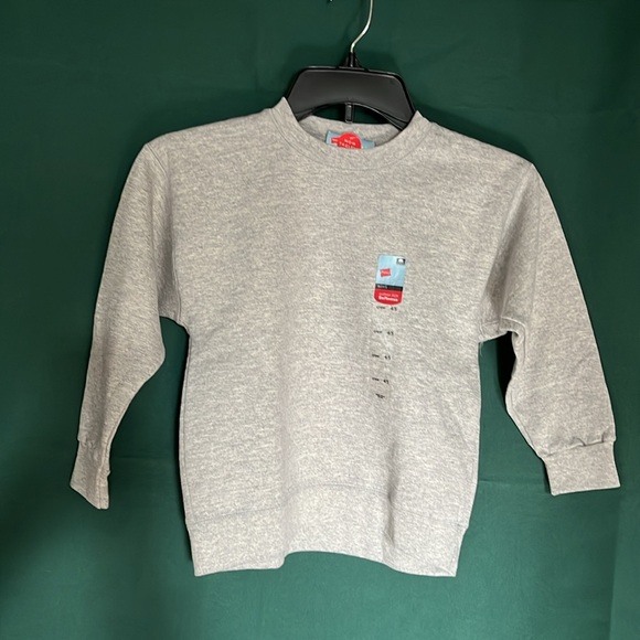 Boys XS (4/5) Hanes Tagless Gray Premium Cotton Soft Sweatshirt. New with tags - Picture 1 of 10